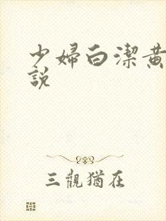 少妇白洁黄色小说