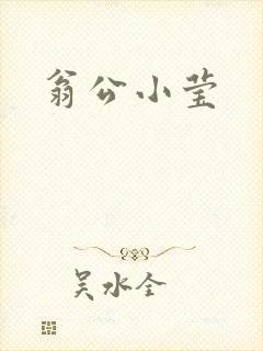 翁公小莹