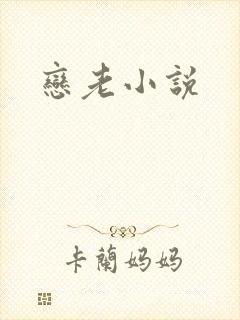 恋老小说