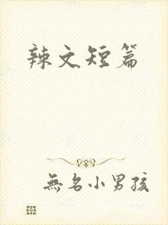 辣文短篇
