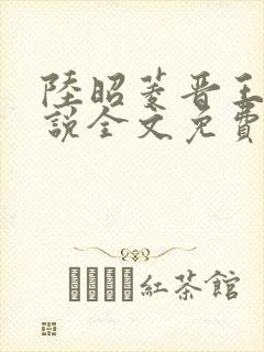 陆昭菱晋王的小说全文免费阅读封面