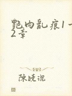 艳肉乱痕1一12章