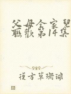 父母全家儿女大联欢第14集