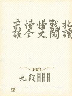 宋惜惜战北望小说全文阅读