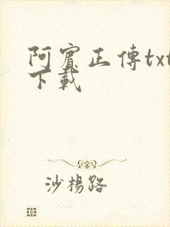 阿宾正传txt下载