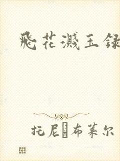 飞花溅玉录