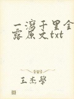 一泻千里金银花露原文txt封面