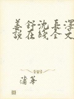 姜舒沈长泽的小说在线全文免费阅读笔趣阁