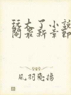 玩大了小说笔趣阁最新章节无弹窗封面