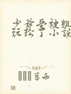 少爷受被粗汉H玩松了小说封面