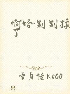 啊哈别别揉那处了