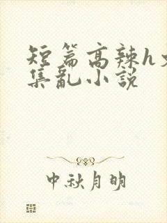 短篇高辣h文合集乱小说