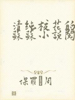 清纯校花的日常苏苏小说阅读全文