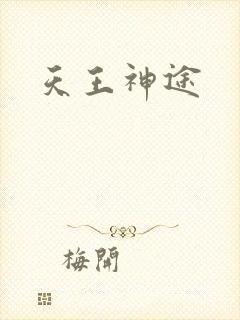 天王神途