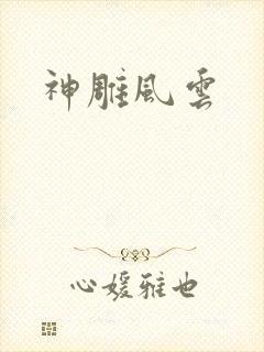 神雕风云封面
