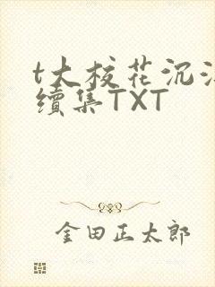 t大校花沉浮录续集TXT