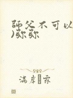 师父不可以(限)弥弥封面