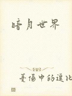 暗月世界