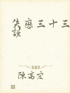 失恋三十三天小说