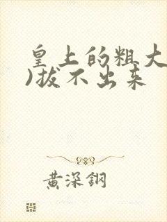 皇上的粗大(h)拔不出来