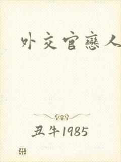 外交官恋人小说封面