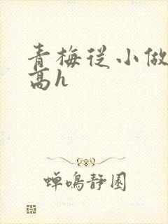 青梅从小做到大高h