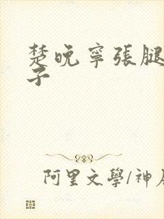 楚晚宁张腿放棋子