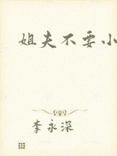 姐夫不要小说