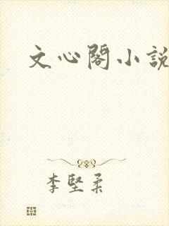 文心阁小说