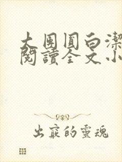 大团圆白洁免费阅读全文小说封面