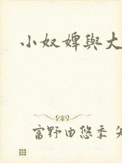 小奴婢与大少爷