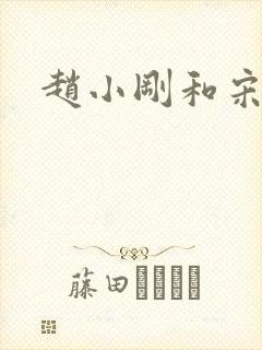 赵小刚和宋雨晴