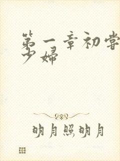 第一章初尝极品少妇