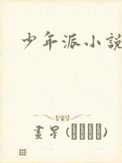 少年派小说