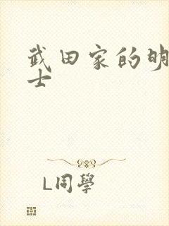 武田家的明国武士封面