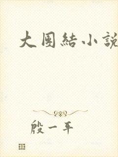 大团结小说阅读