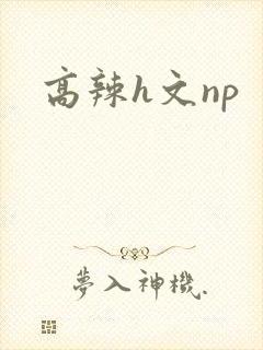 高辣h文np封面