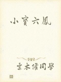 小宝六凤