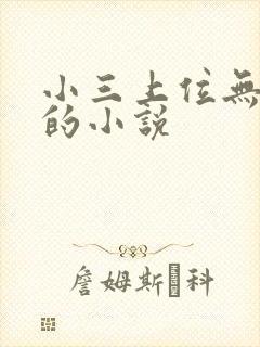 小三上位无三观的小说