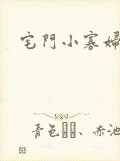 宅门小寡妇封面