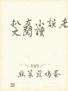 扒灰小说老马全文阅读封面