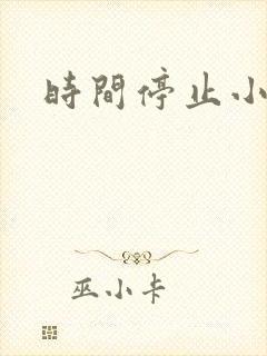 时间停止小说