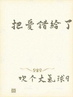 把爱错给了你