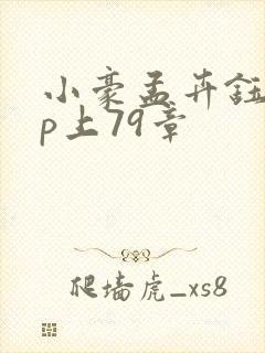 小豪孟卉钰慧三p上79章