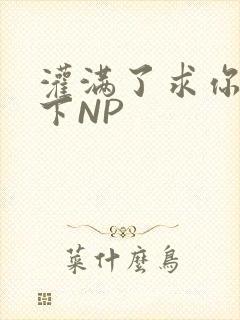灌满了求你们停下NP