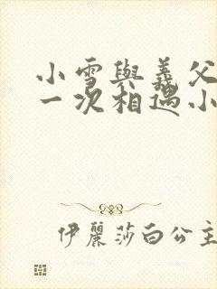 小雪与义父的第一次相遇小说封面