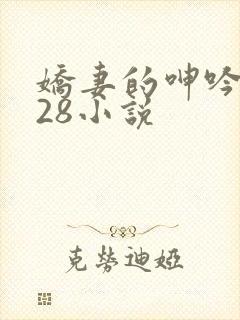 娇妻的呻吟1—28小说