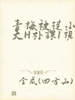 青梅被从小摸到大H补课1视频