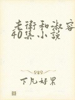 老卫和淑容1-40集小说