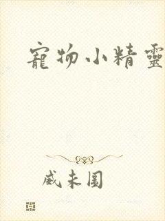 宠物小精灵漫画封面